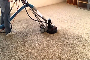 deep clean carpet home