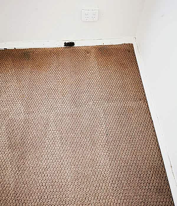Deep Carpet Clean Stains 2c