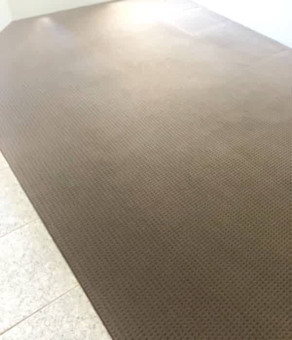 Deep Carpet Clean Stains 3โb