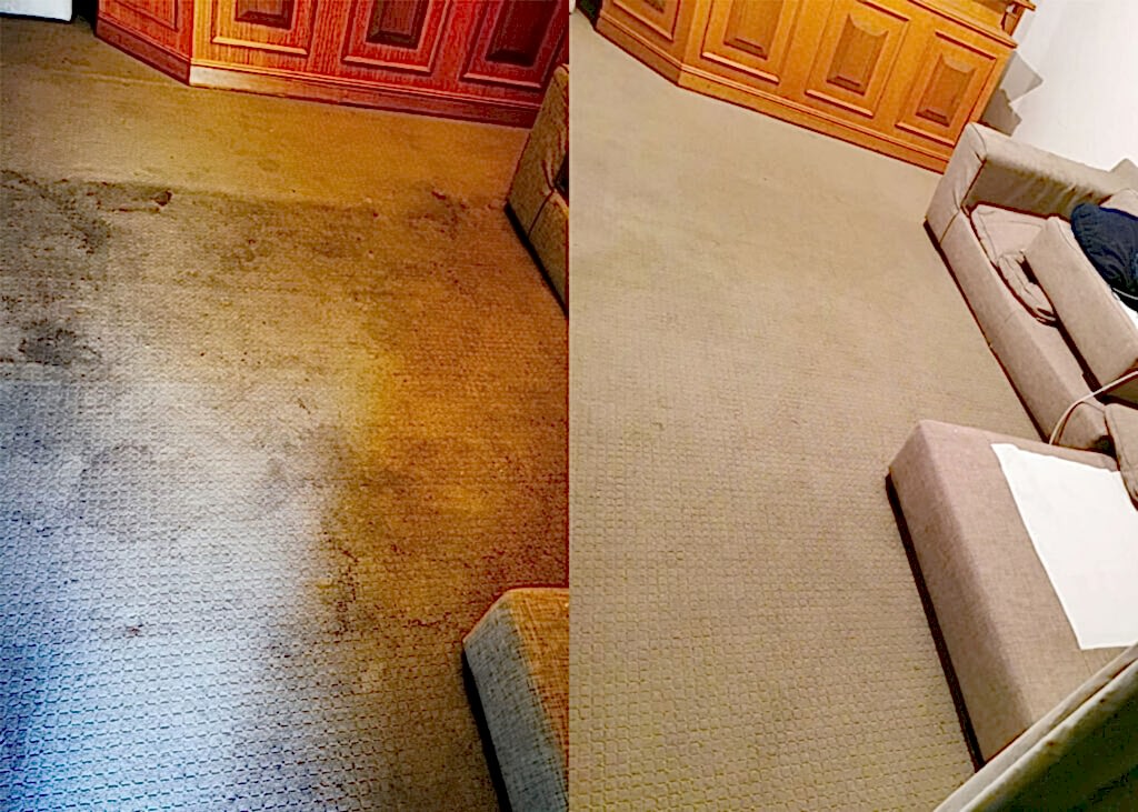 carpet cleaning
