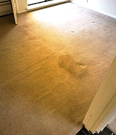 Bedroom Deep Clean 2b