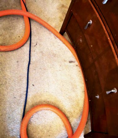 Deep Carpet Clean Stains 1d