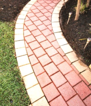Paving and Brick Work Clean 1g