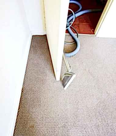 Deep Carpet Clean Stains 2d
