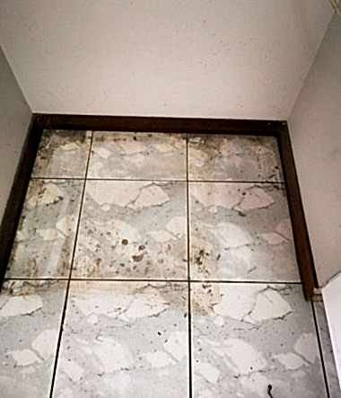 Tiles & Grout 1c